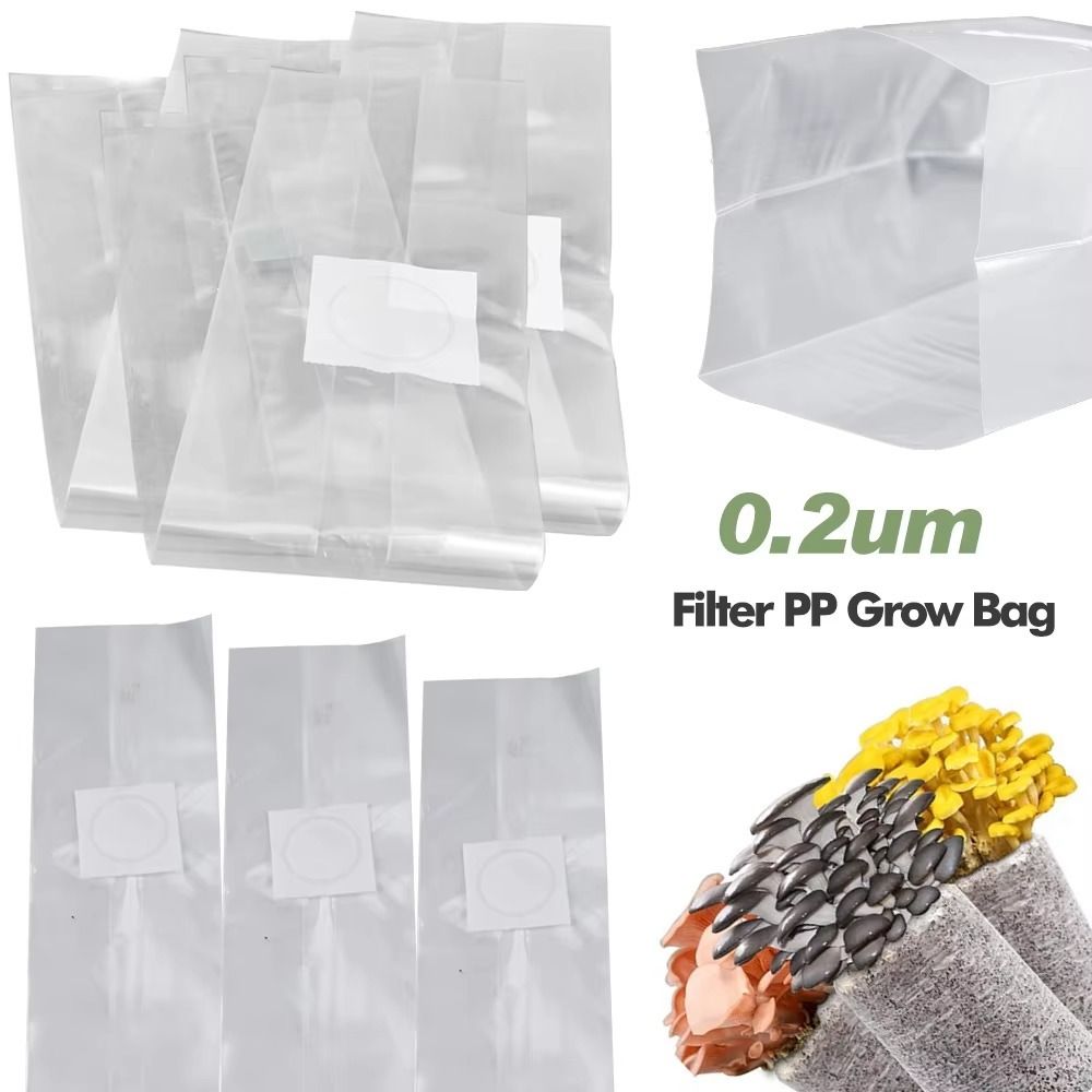 50 sacs de culture de champign - Mushroom Spawn Bag avis et prix