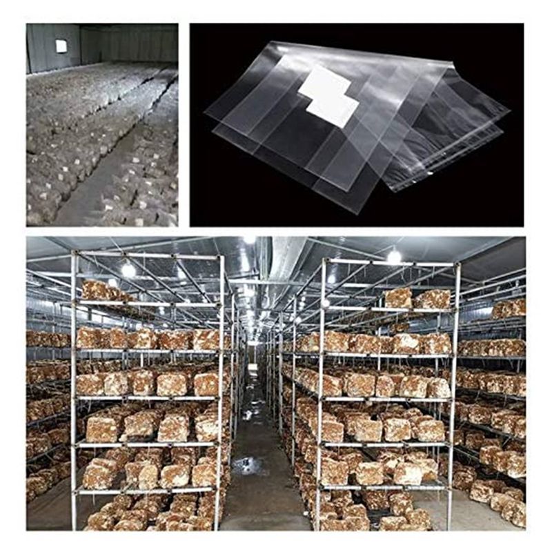Sacs de culture de champignons - Mushroom Spawn Bag avis et prix