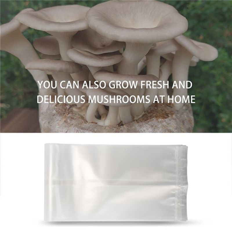 Sacs de culture de champignons - Mushroom Spawn Bag avis et prix