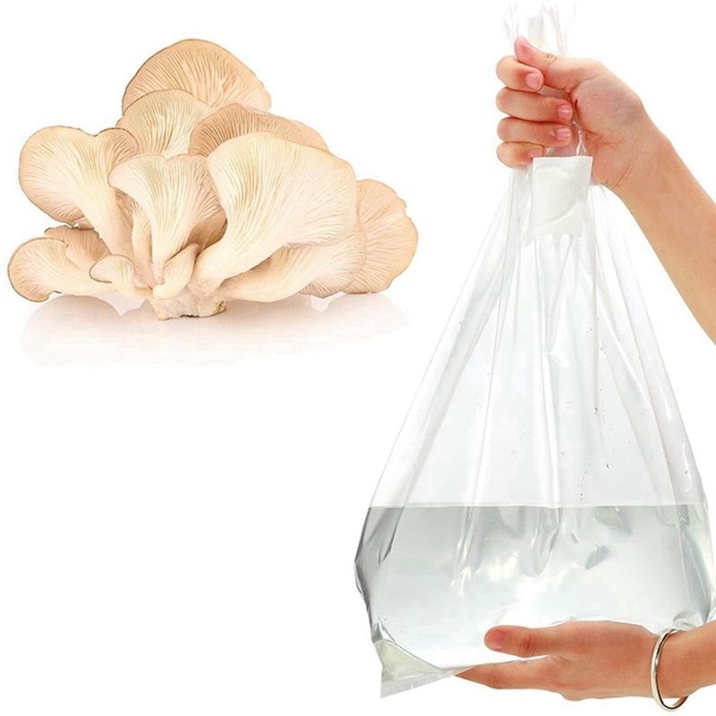 PZHI-100 sacs de culture de ch - Mushroom Spawn Bag avis et prix