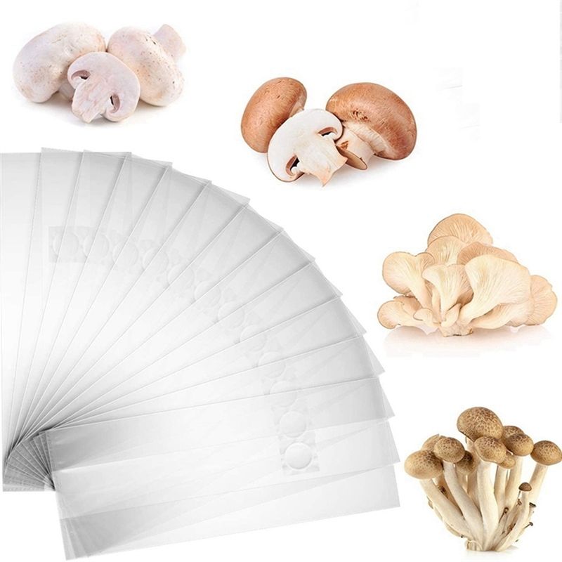 PZHI-100 sacs de culture de ch - Mushroom Spawn Bag avis et prix